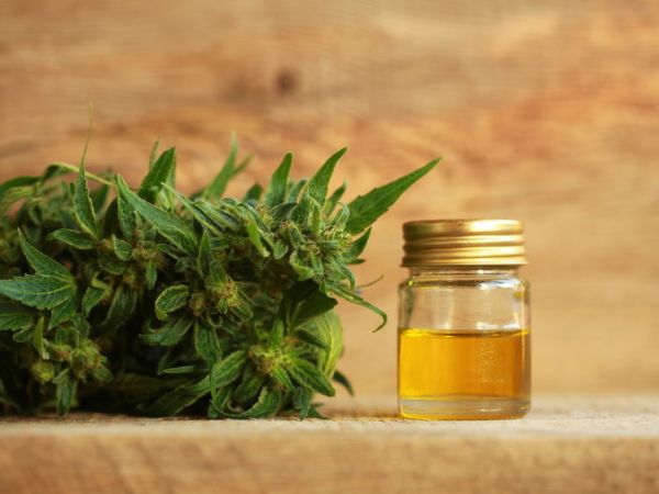 Huile de CBD : quels bienfaits pour la peau ?