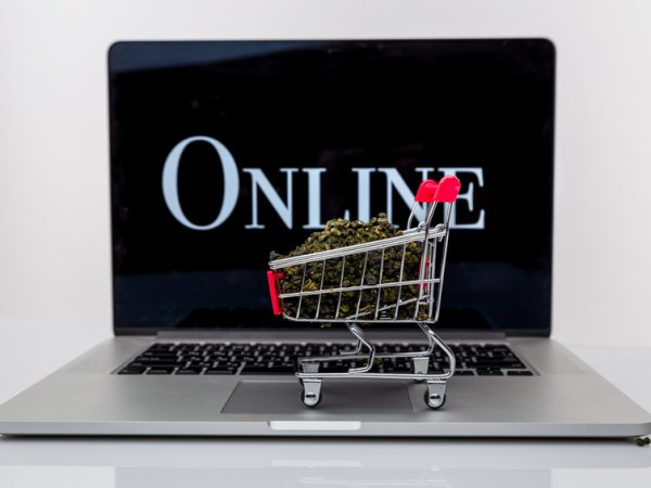 Insomnies : comment retrouver un sommeil de qualité avec le CBD ?